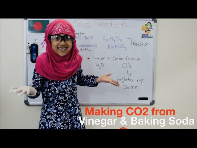 Making CO2 with Vinegar & Baking Soda |